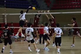 宫鲁鸣不再担任中国篮协副主席